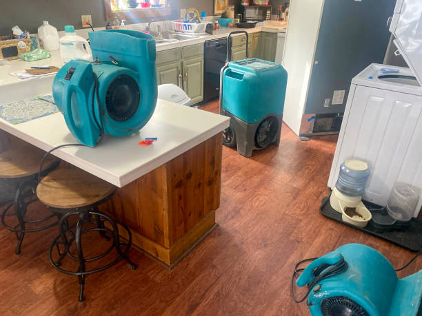 Best Professional water damage repair  in Deland Southwest, FL
