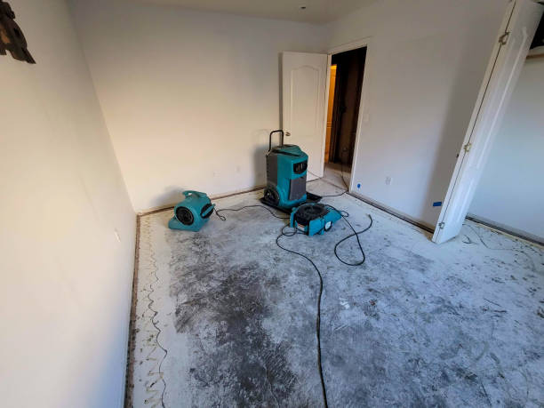 Best Sewage cleanup and water damage restoration  in Deland Southwest, FL