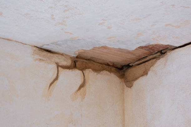 Best Water damage restoration near me  in Deland Southwest, FL