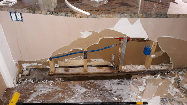 Best Flooded house restoration  in Deland Southwest, FL