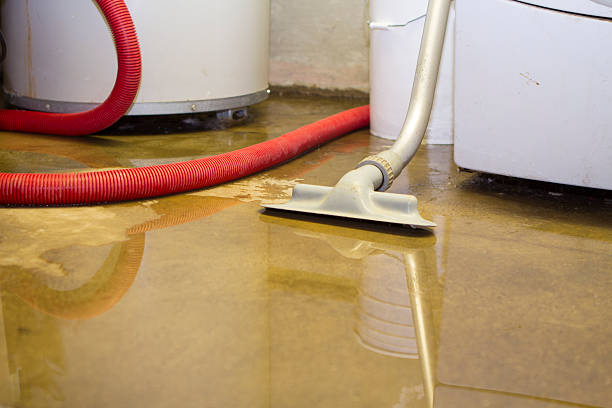 Best Flooded house restoration  in Deland Southwest, FL
