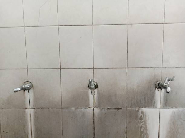 Best Flood restoration services  in Deland Southwest, FL