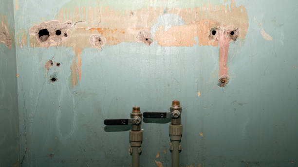 Best Water damage restoration insurance claims  in Deland Southwest, FL