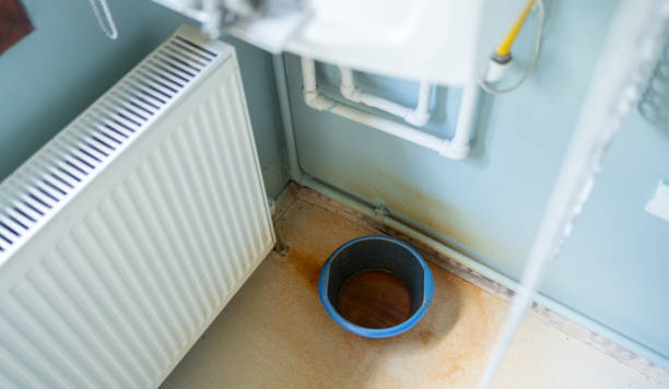 Best Water damage restoration specialists  in Deland Southwest, FL