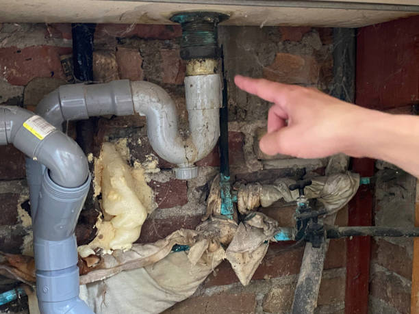 Best Commercial water damage restoration  in Deland Southwest, FL