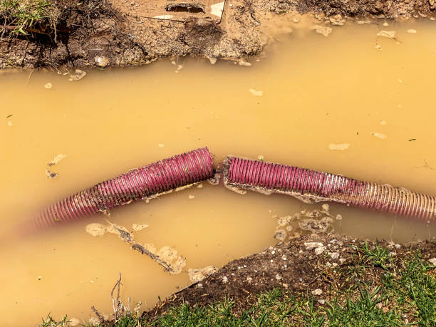 Best Flood damage cleanup  in Deland Southwest, FL