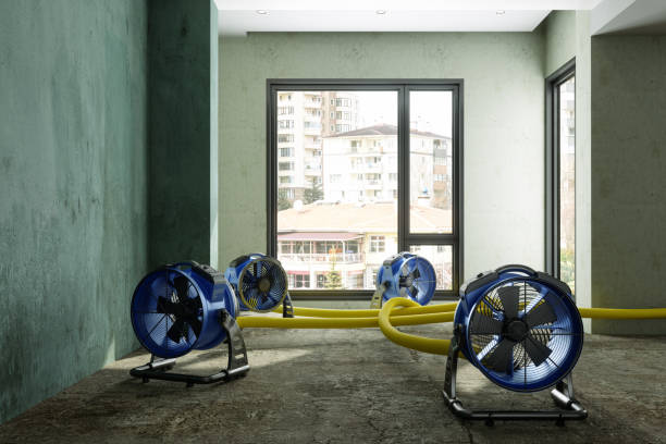 Best Water damage restoration near me  in Deland Southwest, FL